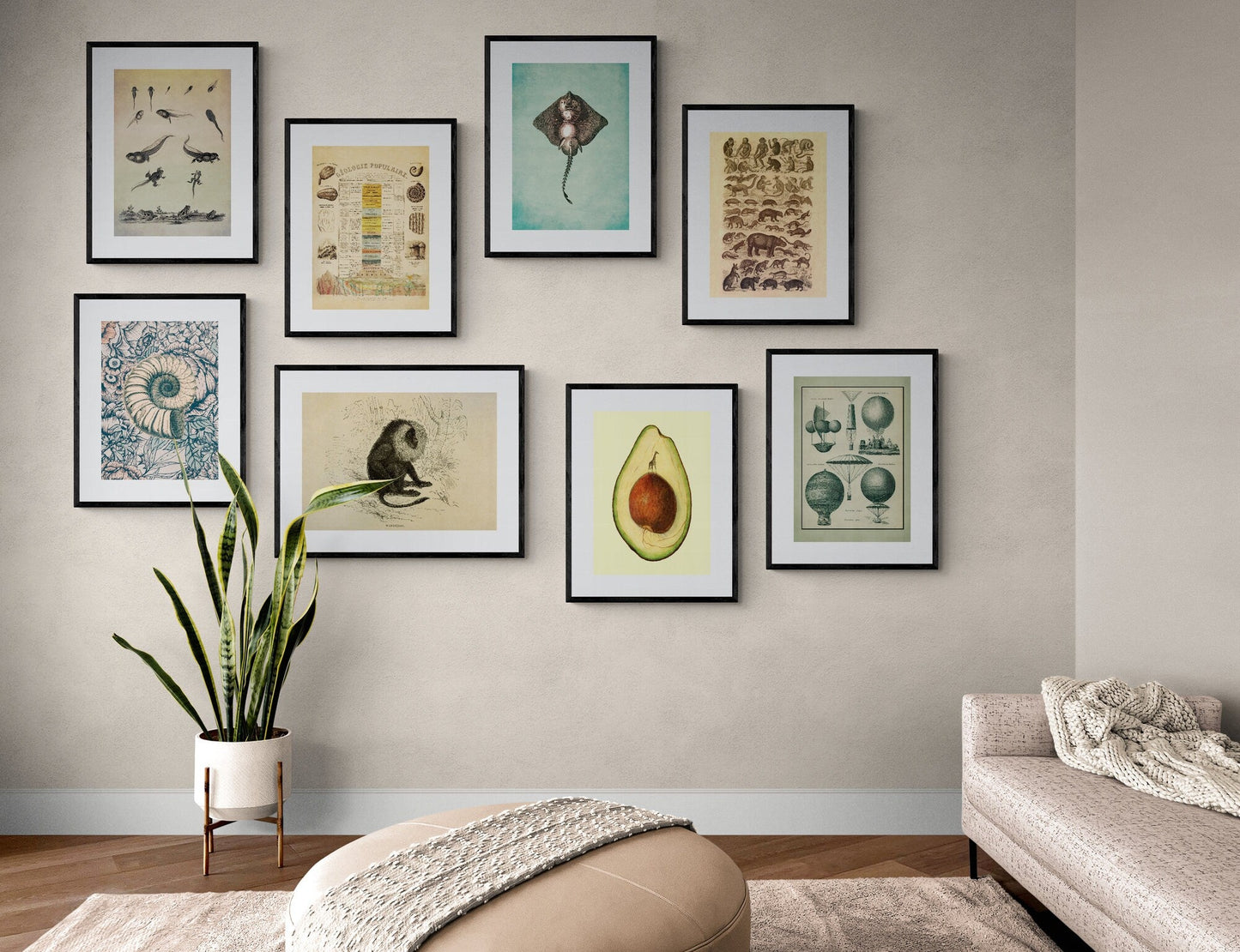 Aeronautics Print