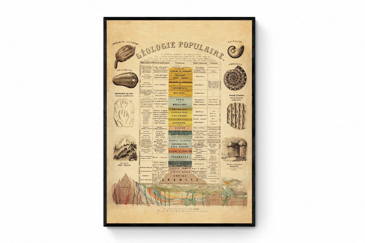Geology and Palaentology Poster
