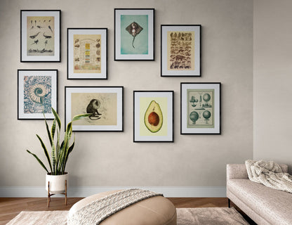 Aeronautics Print