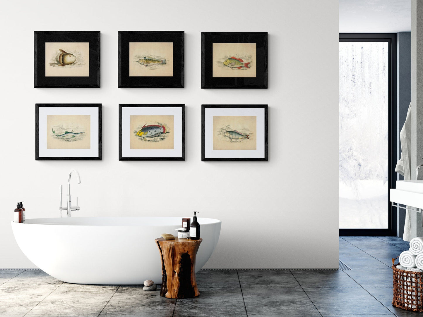 Blue Shark Print