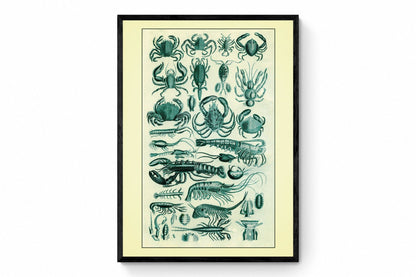 Crustaceans