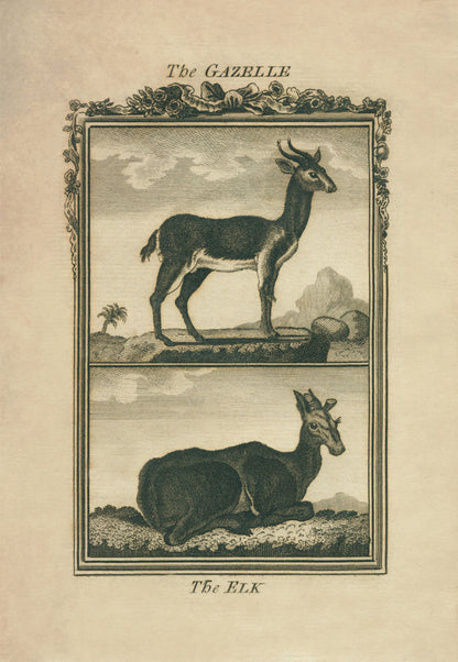 Gazelle and Elk Print