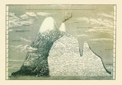 Botanical Diagram