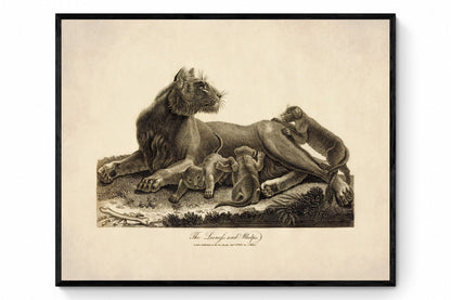 Lioness and Whelps